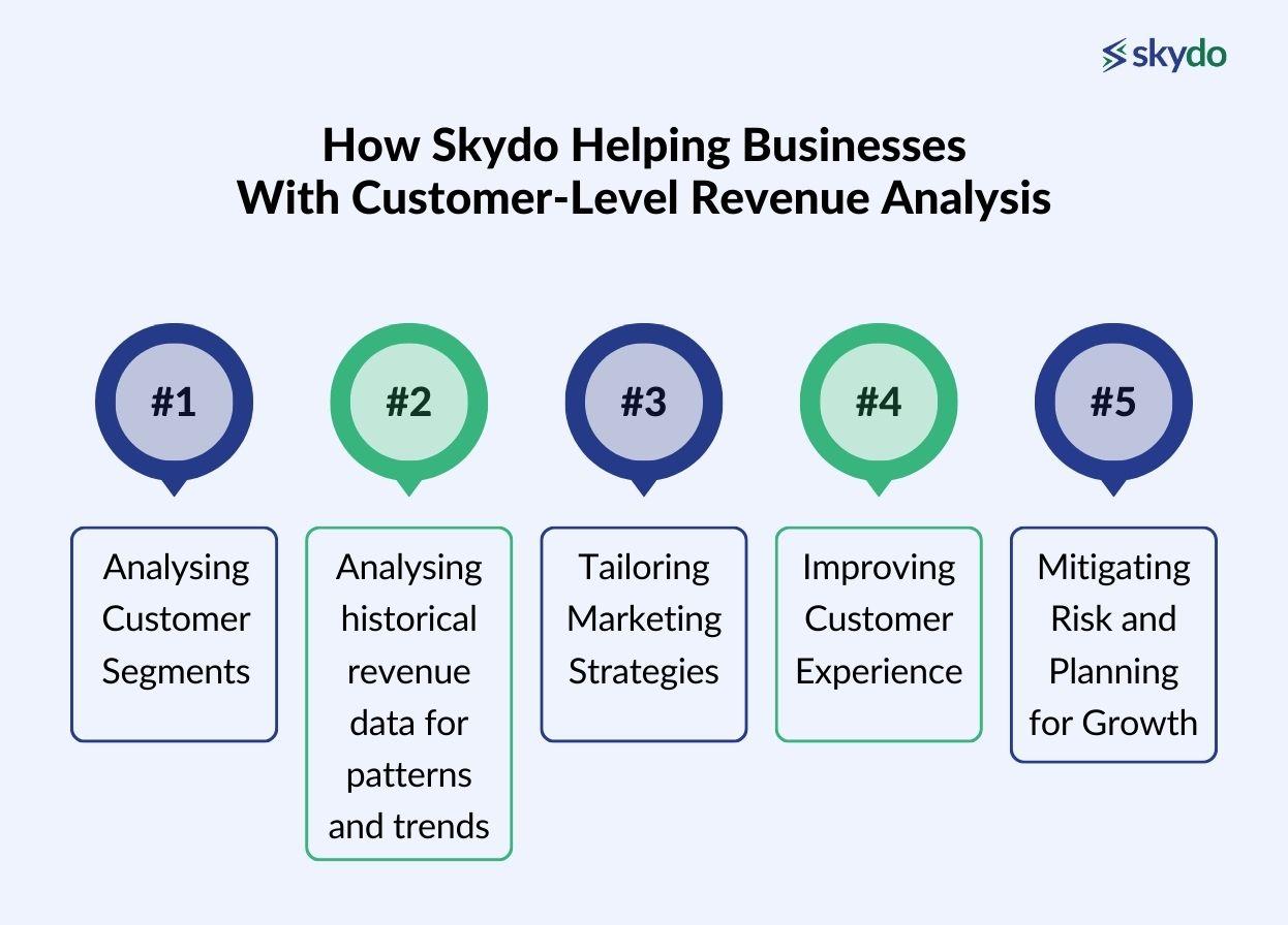 How Skydo Helping Businesses With Customer-Level Revenue Analysis