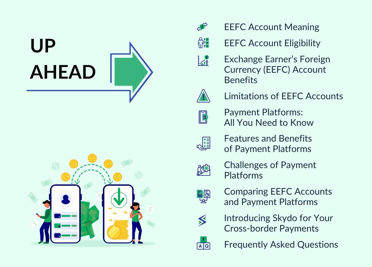 EEFC Account vs Payment Platforms