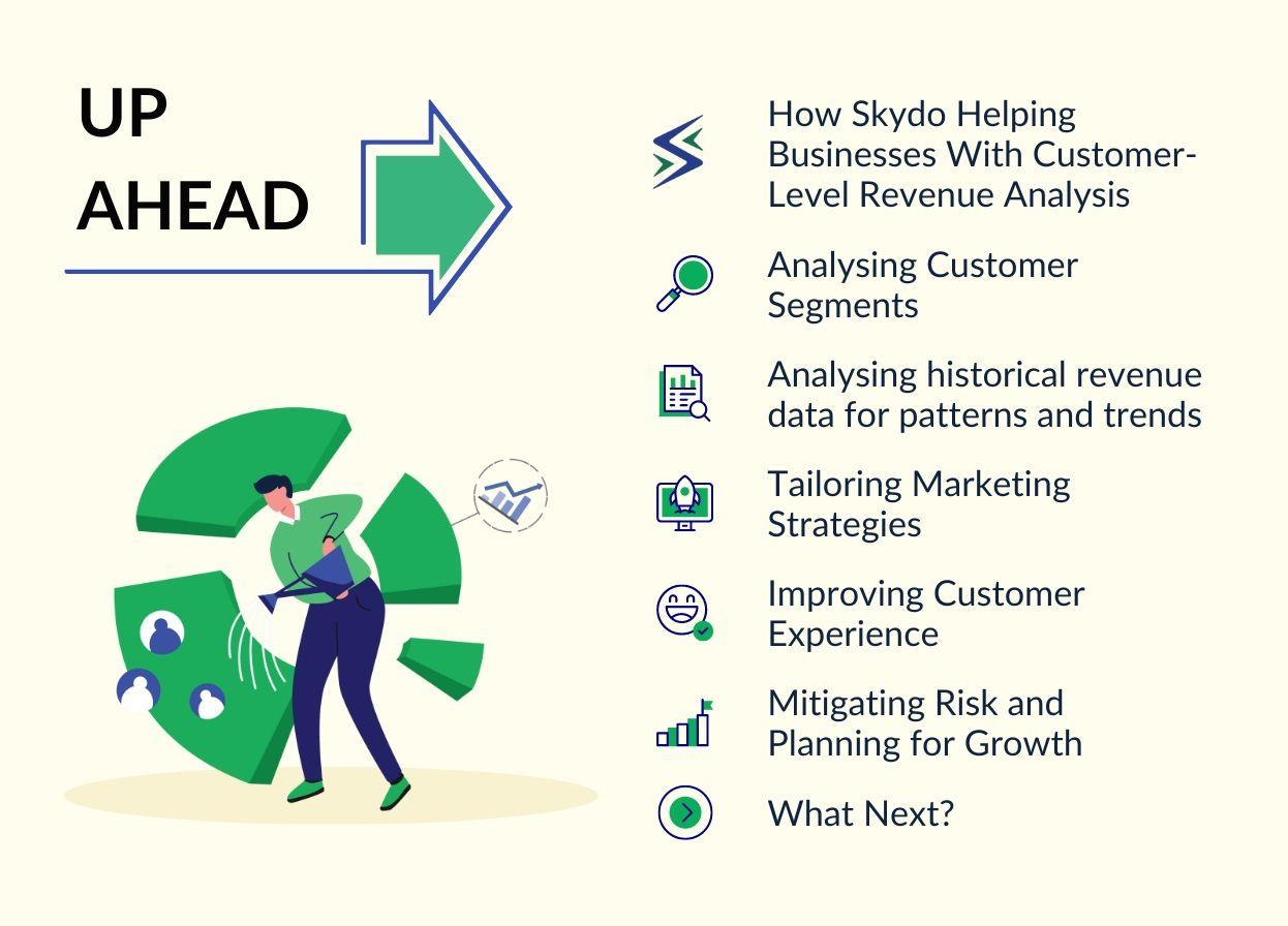 Leverage Customer Insights to Drive Revenue With Skydo