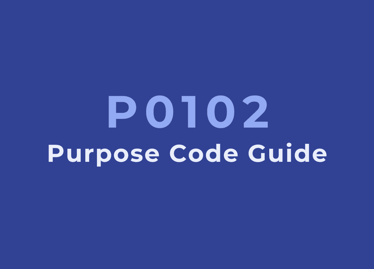 P0102 Purpose Code: Guide for Export Payments