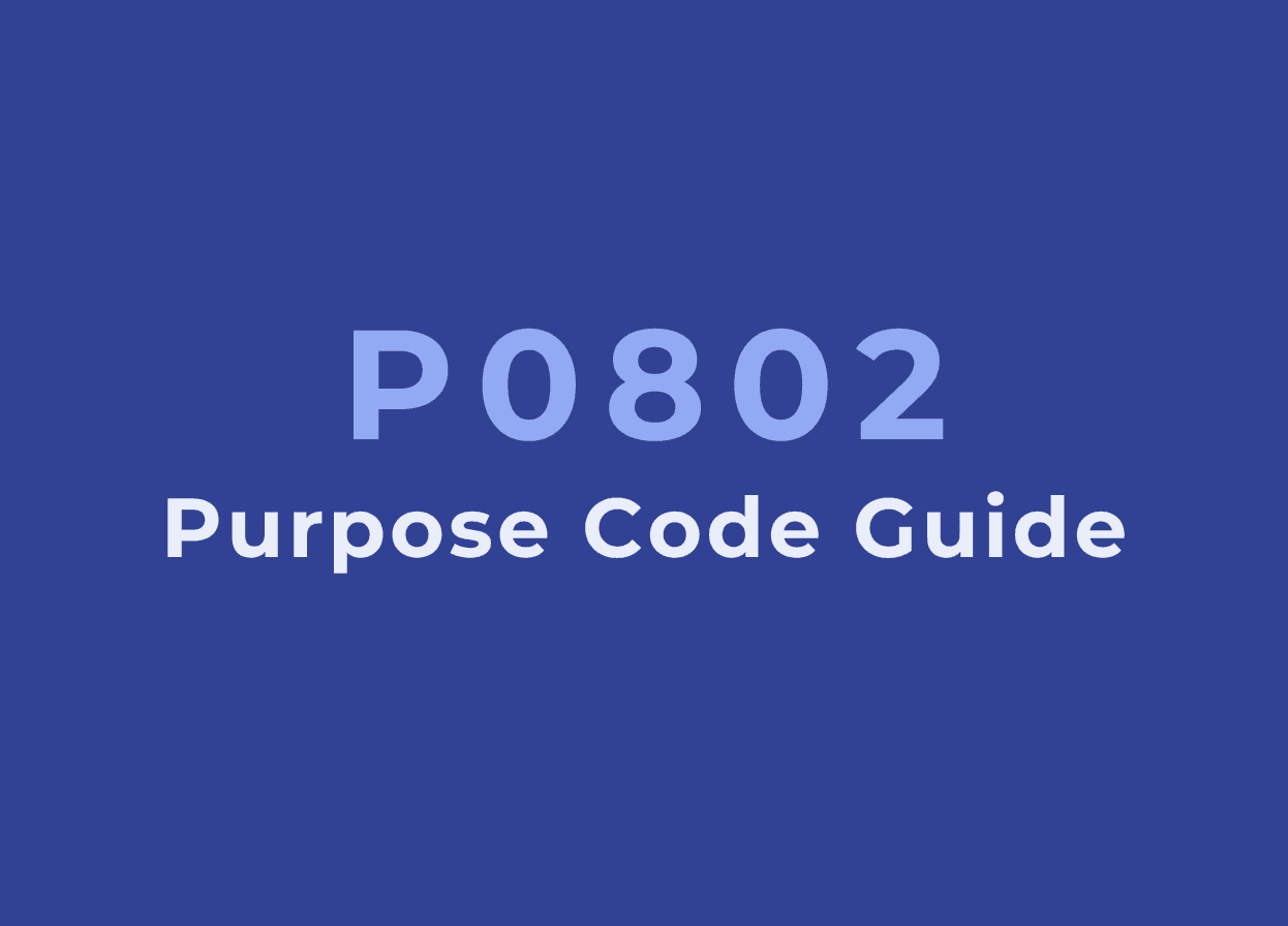 P0802 Purpose Code: A Guide for Software Services Payments