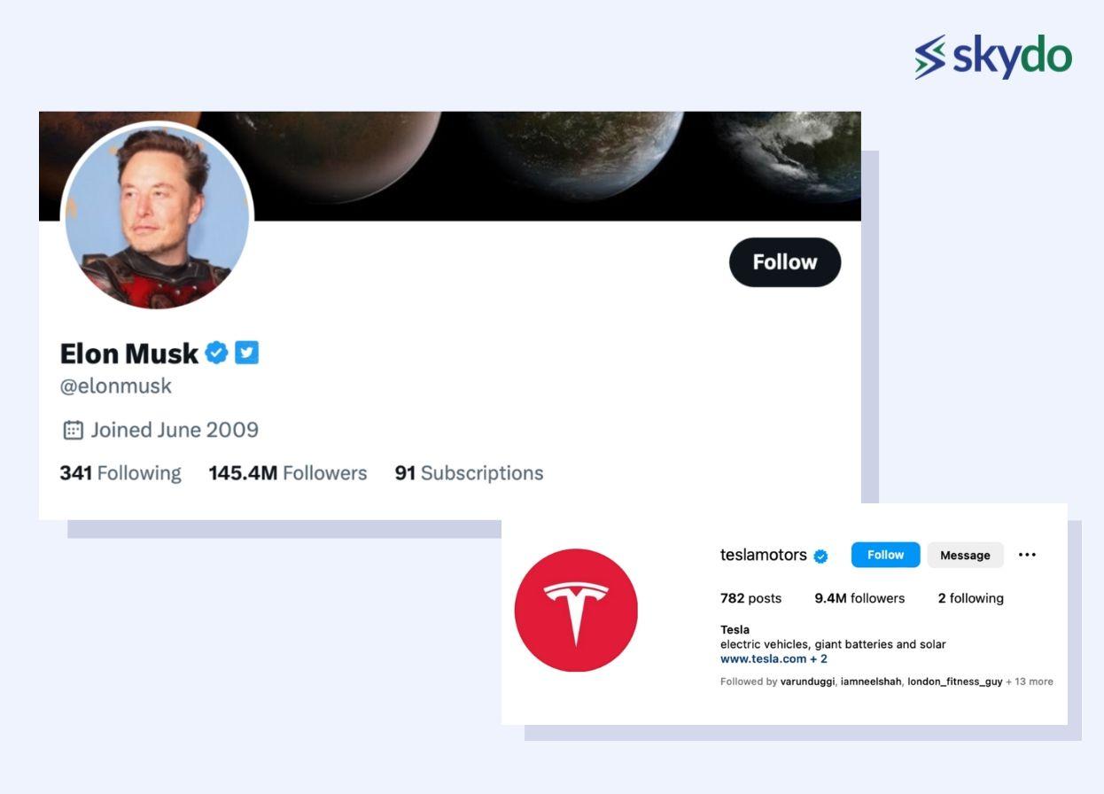 Elon Musk as Tesla